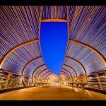 54_outdoor_Bamboo_Tunnel_Walkway__Architectural_Feature